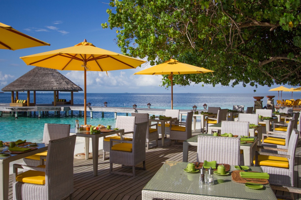 初心者向けのECO三輪バイク『EVトライク』