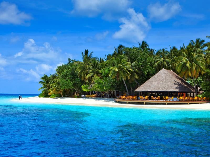 三輪バイク ブラック 前面バスケット付き 自賠責残り有り ちょい乗りに最適！ヘルメット不要、折り畳み