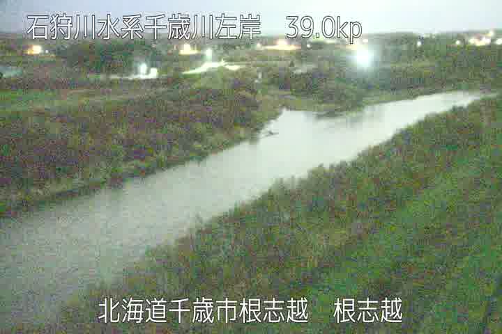 日本エレクトライクの新たなトライクは バイクのようなミニカー『スイング・スポーツ』 – WEB Mr.Bike