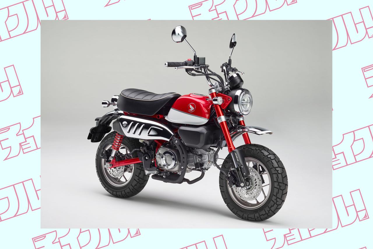 女子ライダーが「スーパーカブ C125」で西多摩の自然とグルメを満喫