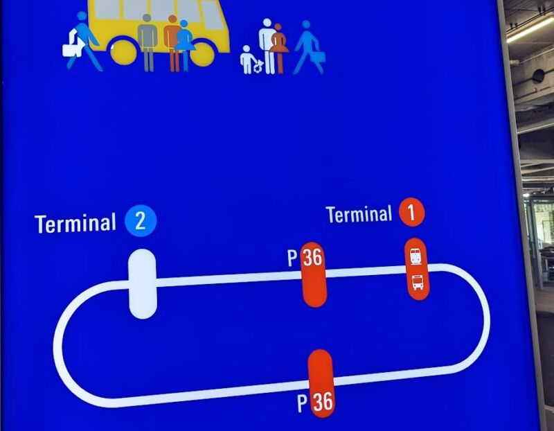 フランクフルト国際空港 第2ターミナル ドイツ- ハハコグサ ～ふたりが飛び立つその日まで～