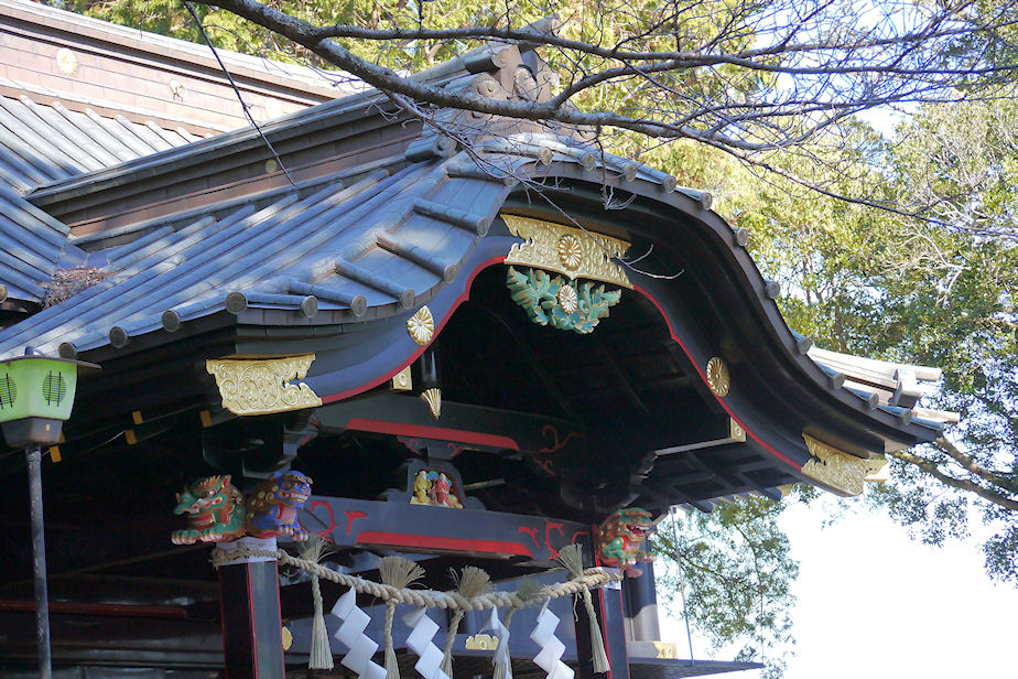 楽天市場 菊 の