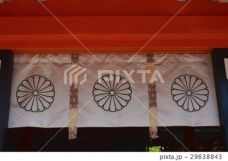 菊花開 10 13から10 17頃茨城縣護國神社