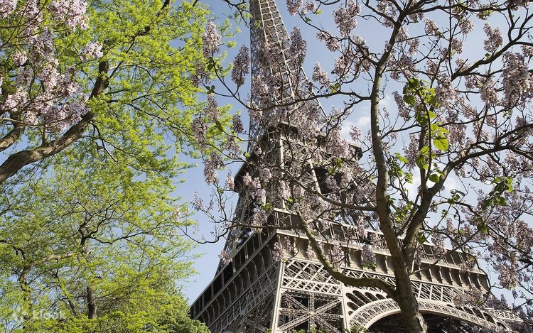 パリエッフェル塔エレベーター2階と頂上へのアクセス in Paris