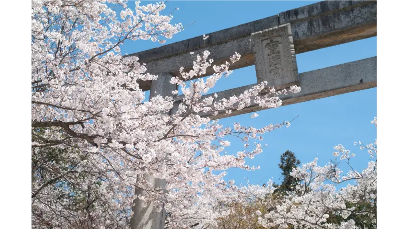 竈門神社の紅葉の見ごろは？ライトアップの時間や時期は？fromFukuoka フロム福岡