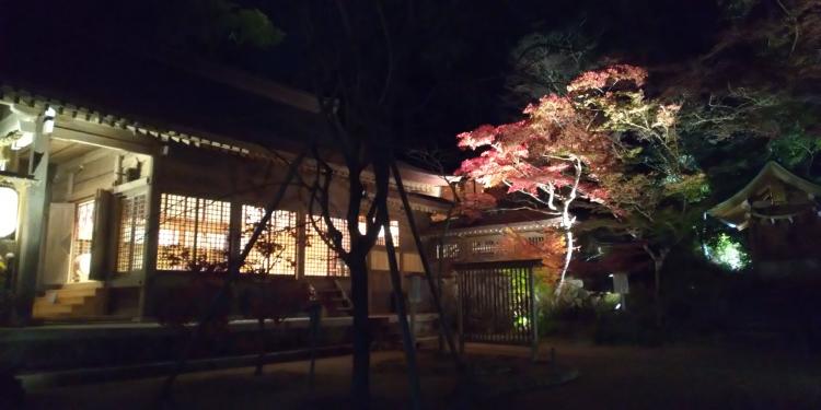 週末は見頃の太宰府竈門神社の紅葉めんたいワイドFBS福岡放送