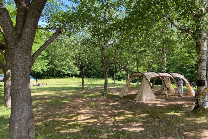 水の森公園キャンプ場 - Campla