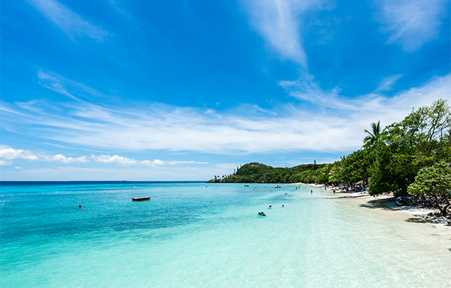 ニューカレドニアの新婚旅行完全ガイドマイナビウエディング