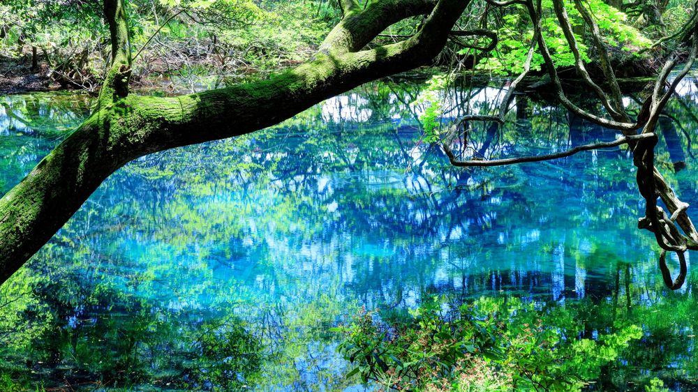 山形県の丸池様 - 神秘の美しい泉を訪れる旅