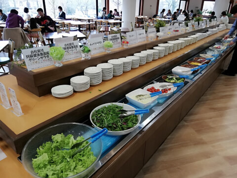 阿蘇ファームランド 阿蘇元気の森トクトククーポン