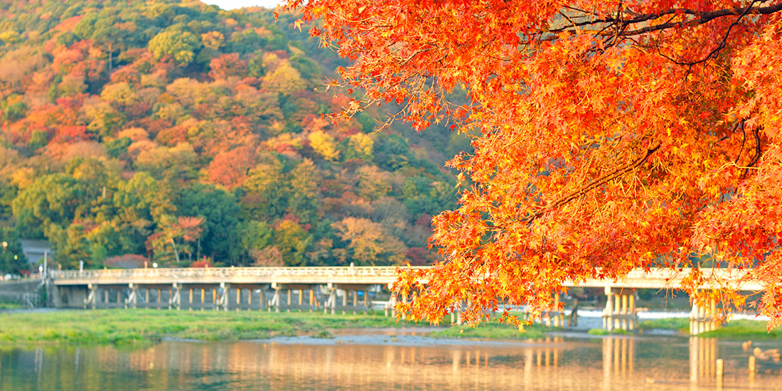 中国の大型連休「国慶節」、観光客が国内観光地に客押し寄せる、海外旅行ではタイが人気トラベルボイス 観光産業ニュース
