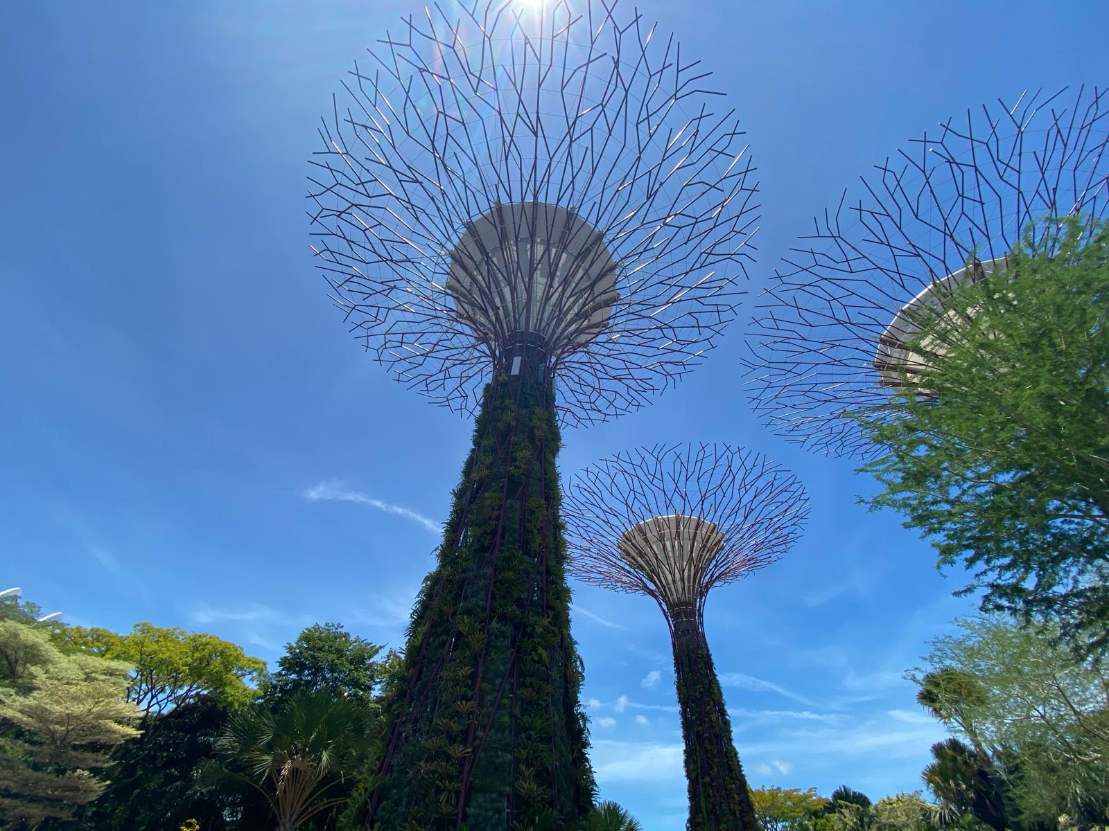 楽天 ガーデンズバイザベイ Eチケット