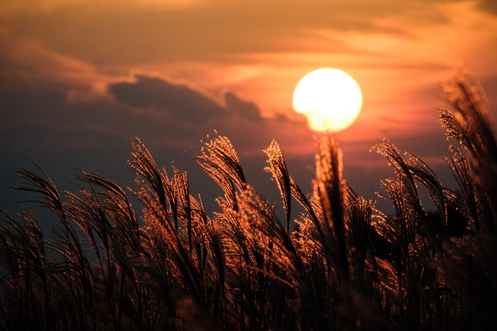 綺麗な夕焼けスポット7選！ 写真撮影のコツと注意点も解説写真展・ フジフイルム スクエア FUJIFILM