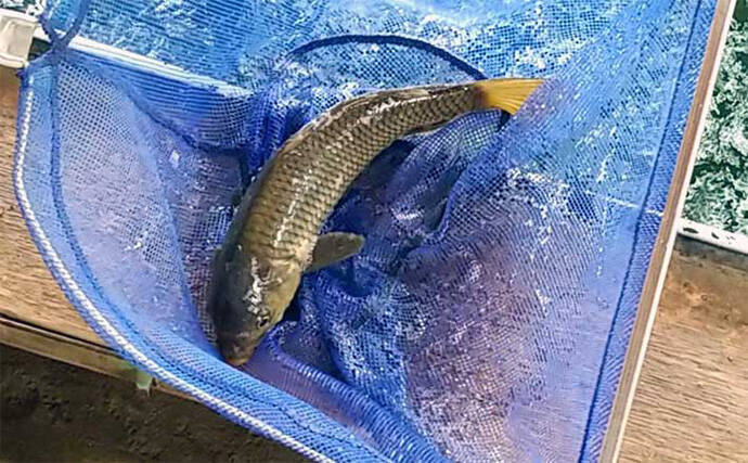 横浜×釣り堀 ＜土日祝プラン＞全天候型釣り堀施設！屋内なので雨でも楽しめる・海水魚の釣れる釣り堀 ♪マダイやイサキ・アジなど、初めての釣りでも安心♪ファミリー・カップルにおすすめ 横浜釣り堀王国 -