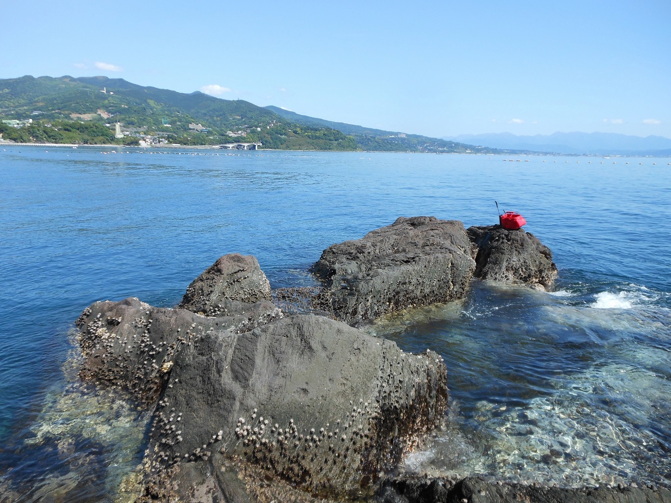 三ツ石 真鶴 で釣れたクエの釣り・釣果情報