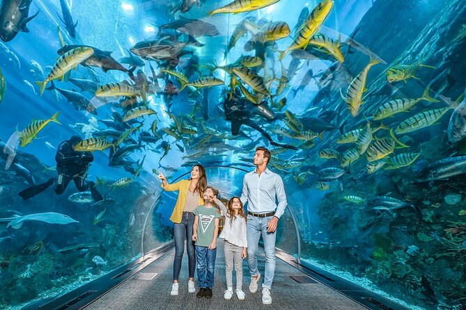 ドバイ水族館 Dubai Aquarium 入場チケット予約☆ドバイモール内の巨大水族館！＜動物触れ合い体験付きプランあり＞ドバイの観光・オプショナルツアー専門VELTRA