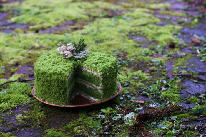 4,600点を超えるコテージコアのストックフォト、写真、そしてロイヤリティフリーの画像 - iStock