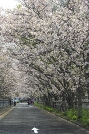 南九州市知覧平和公園ゲートボール場 南九州市