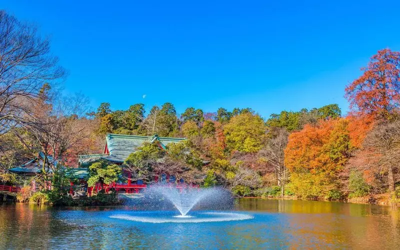 関東で絶対行きたい海・ビーチ12選！人気の海水浴場や絶景ビーチを紹介NEWT ニュート