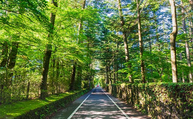 関東一人旅 日帰りでも大満足！？自分時間を楽しむおすすめスポット3選！ –