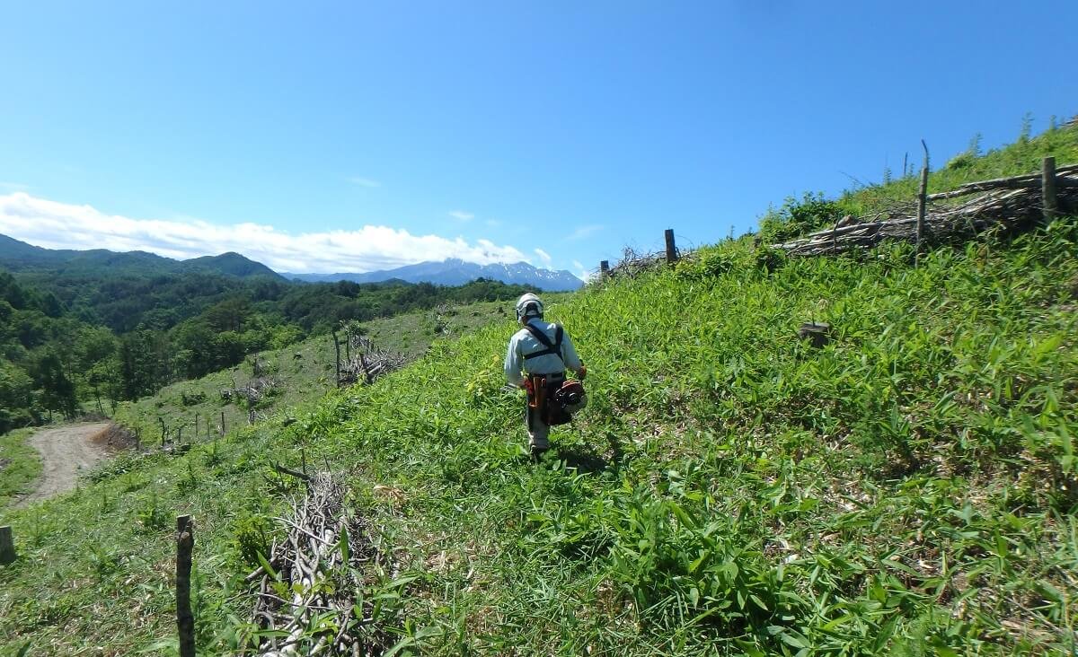 地震 王滝村と木曽町で震度５強を観測 2017年6月24日掲載 日テレNEWS