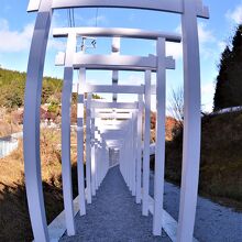 済渡寺 さいどうじ白い鳥居がズラリと並んだ新見市の観光スポット – saboten