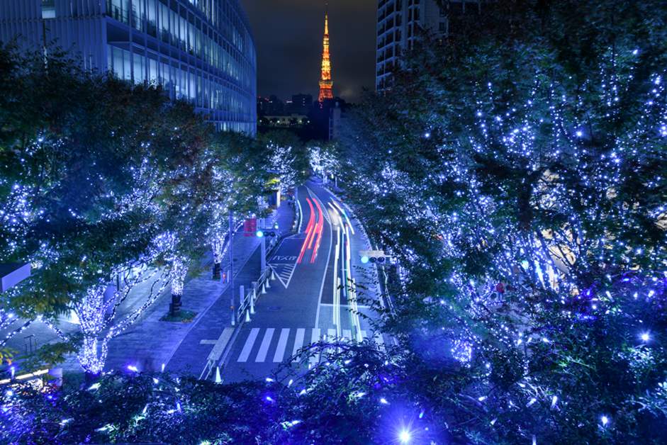 六本木けやき坂のイルミネーション 先週まで南国で夏を満喫していたので 投稿の季節感がまったくあってません😇😇休日のけやき坂は観光客の方々の撮影会で賑わっています六本木イルミネーションけやき坂イルミネーション夜景スポット都内デートデート