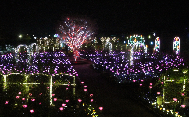 イルミネーションアワード5年連続1位！ あしかがフラワーパーク「光の花の庭 フラワーファンタジー2020-2021」が開催中