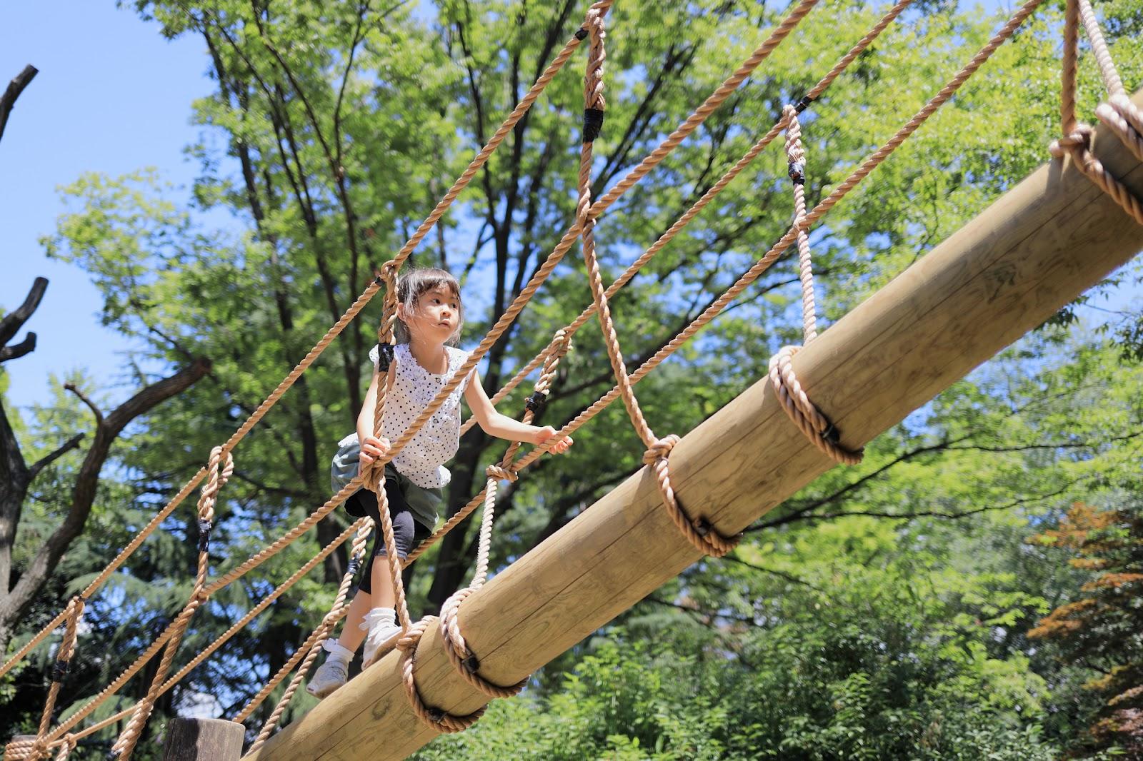 京都府 夏休み2026 子供の遊び場・お出かけスポットいこーよ