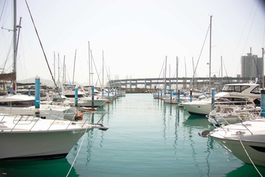 釜山ひとり旅⑥海雲台ブルーラインパークへ 海岸列車と海東龍宮寺naho☆部落格