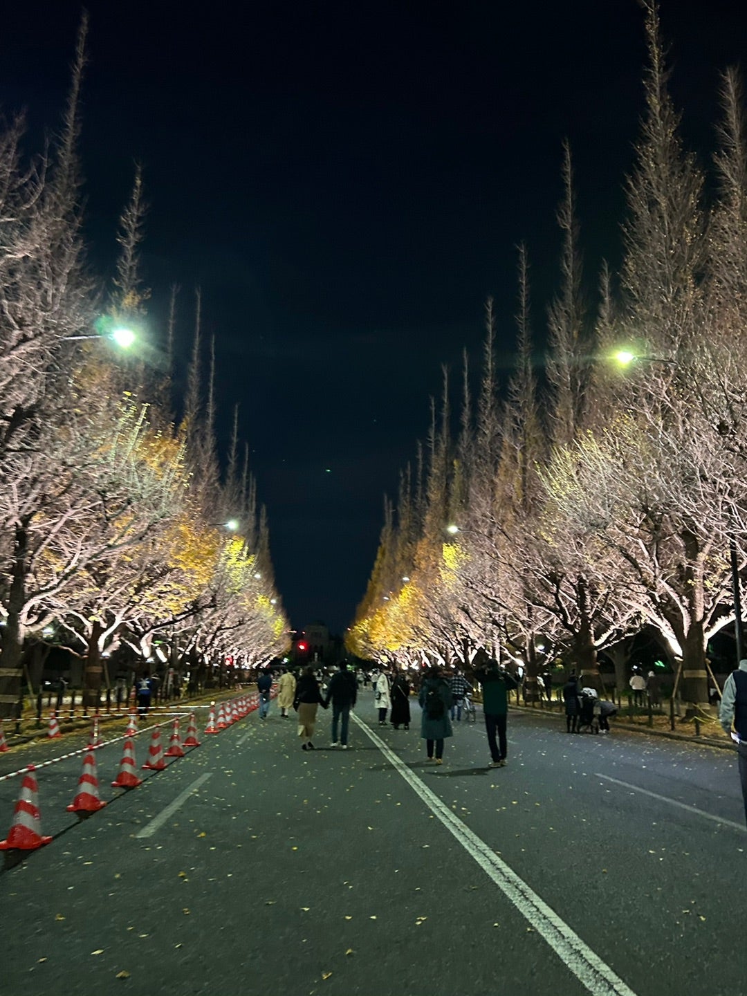 東京 神宮外苑イチョウ並木の歩き方🍁☕️Titicaca