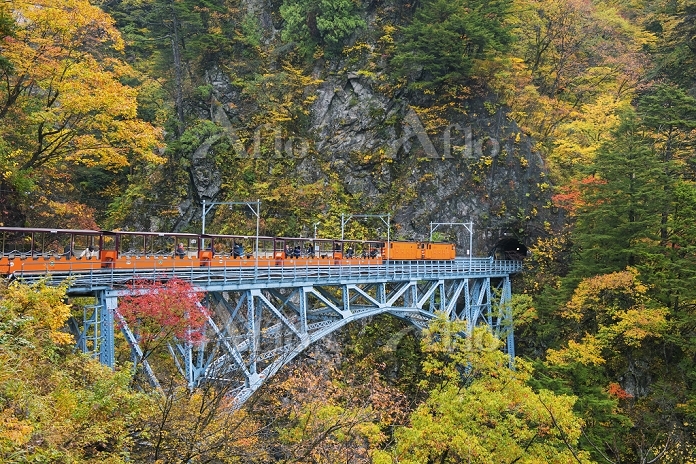 黒部渓谷トロッコ電車紅葉2025見頃11 6〜20と混雑回避旅兵衛今こそ行きたい！50歳からの日本の名所をゆったり車で巡る観光モデルコース