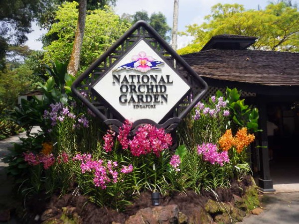 世界三大がっかり名所とは？それぞれを一覧にして世界遺産マニアが解説世界遺産マニア