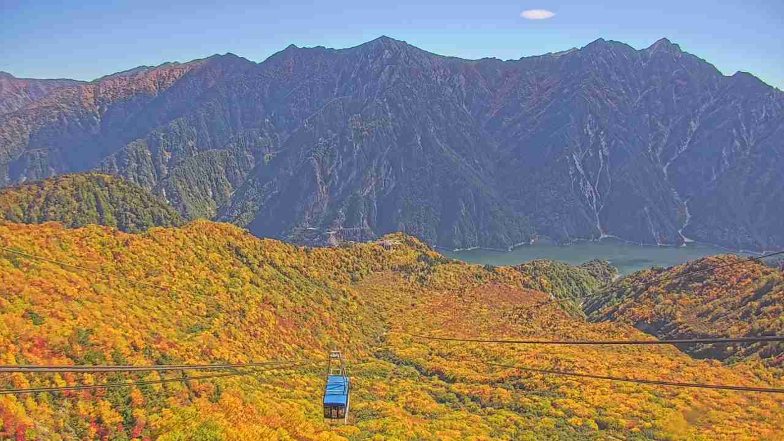 ライブカメラDB@livecam_dbX