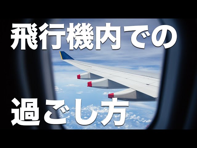 夏休みに飛行機に乗る方必見✈️機内で快適に過ごすコツ、まとめました！ 「初めての飛行機、どう過ごせばいい？💭」 「子連れで大丈夫かな？😳」「夏季限定でアイスコーヒーがあるの知ってる？☕️」 など、事前に知っておきたい気になるポイントをわかりやすくご