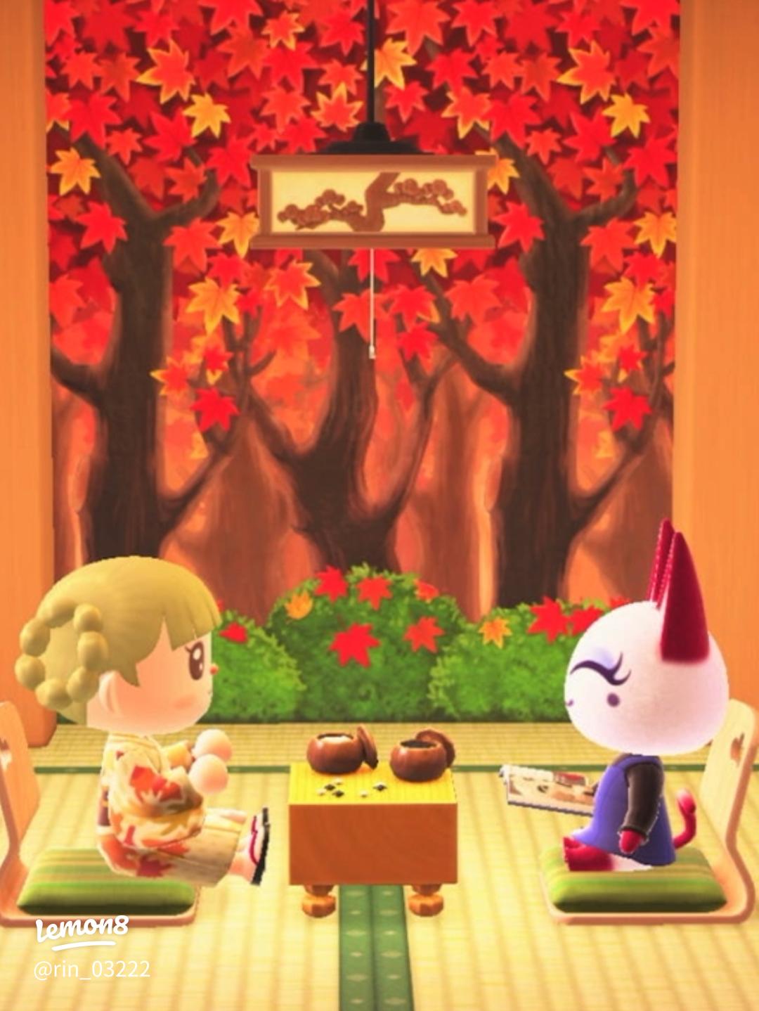 どうぶつの森36 真夜中 やることないよね？意外とあるんです！ゆーちゃん