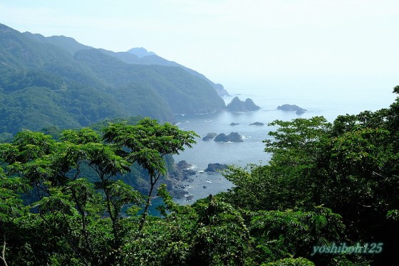 南阿波サンライン