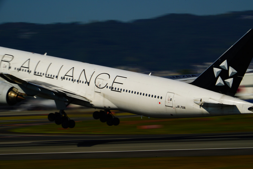 伊丹空港の穴場撮影スポット紹介 - Genspark