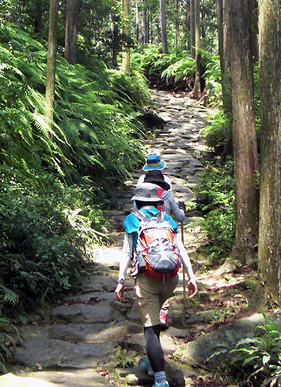 保存版 11月の和歌山は気温が温暖で観光にぴったり！旅行に適した服装や注意点も解説NEWT ニュート