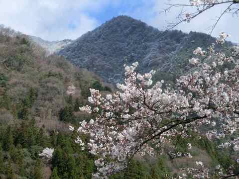 道の駅遠山郷・かぐらの湯信州の南の玄関口温泉・レストラン・おみやげ長野県飯田市