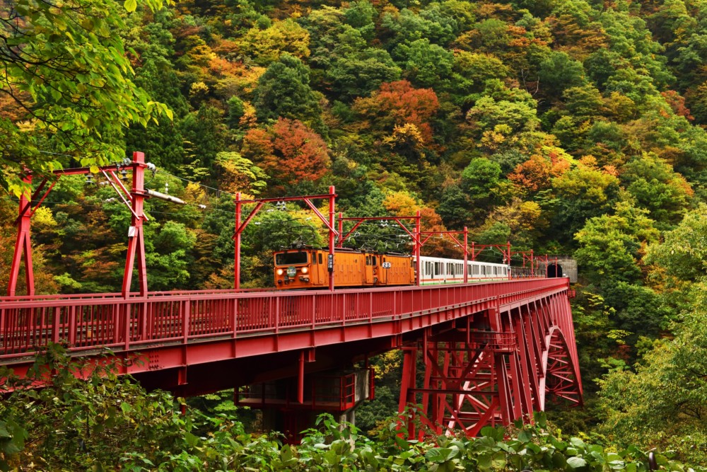 紅葉の黒部峡谷鉄道 新山彦橋とトロッコ列車 25516029560 の写真・イラスト素材アマナイメージズ