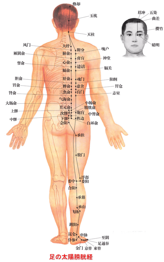 原因別 更年期にお悩みの方にオススメのツボを6つ紹介京都市南区癒しマッサージ鍼灸院