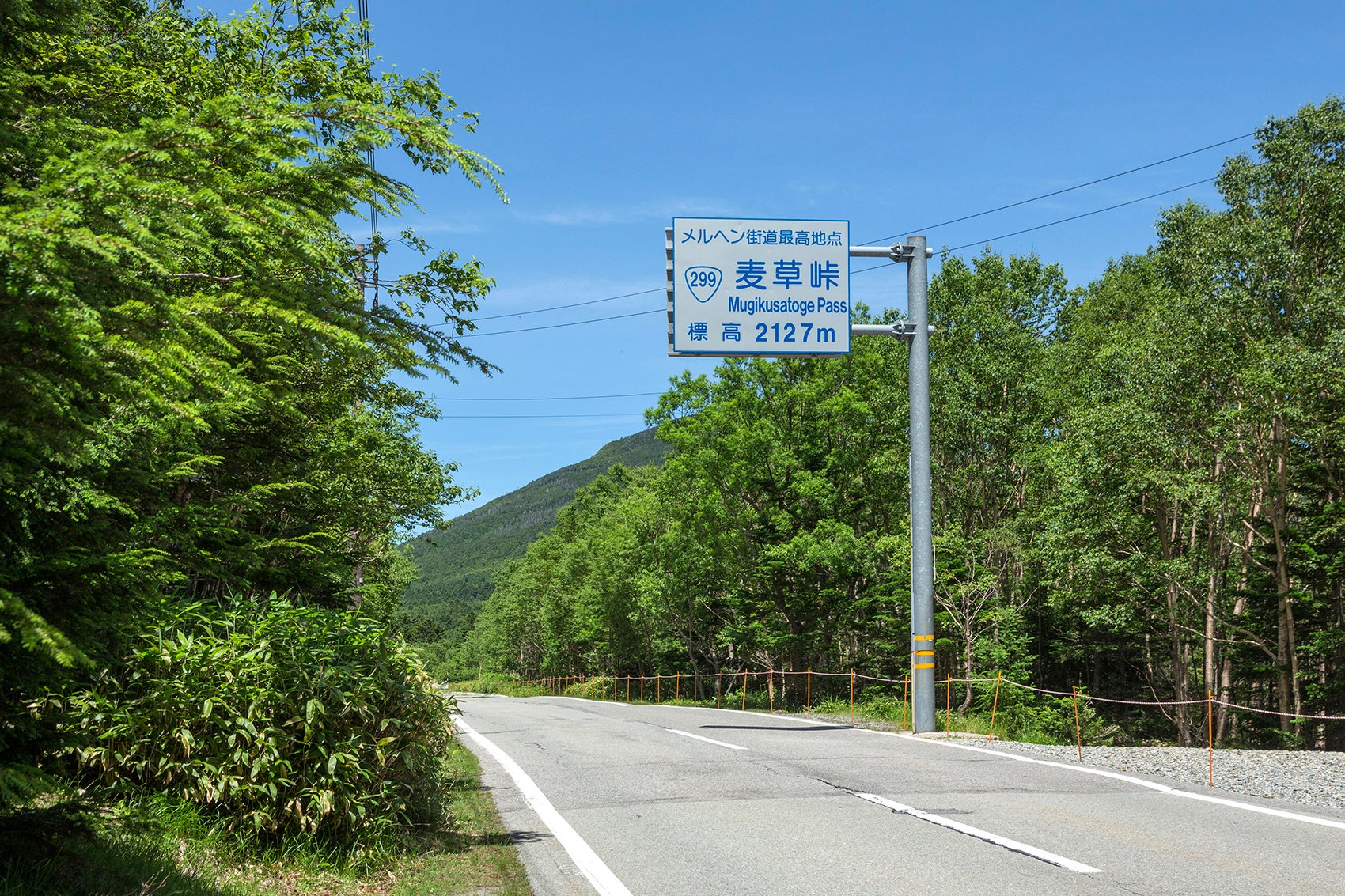 八ヶ岳：麦草峠 - いこまいけ登山