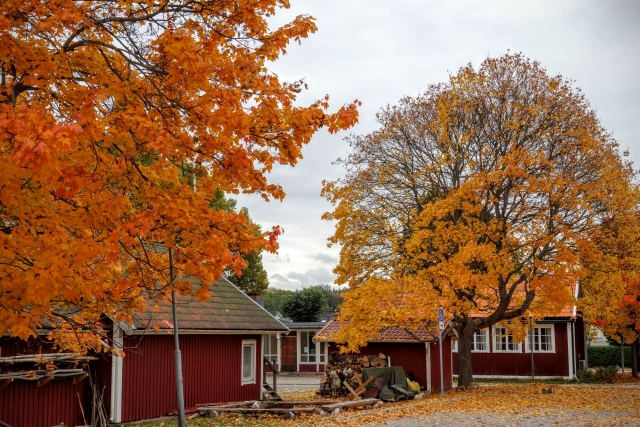 徹底解説 スウェーデン流インテリアデザイン・間取りの特徴Paradorパラド