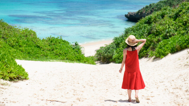 中の島ビーチは熱帯魚最多のシュノーケルスポット！知っておくべき情報すべて。OleaTravel