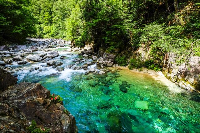 長野の夏におすすめ！人気＆穴場の観光スポットアクティビティジャパン