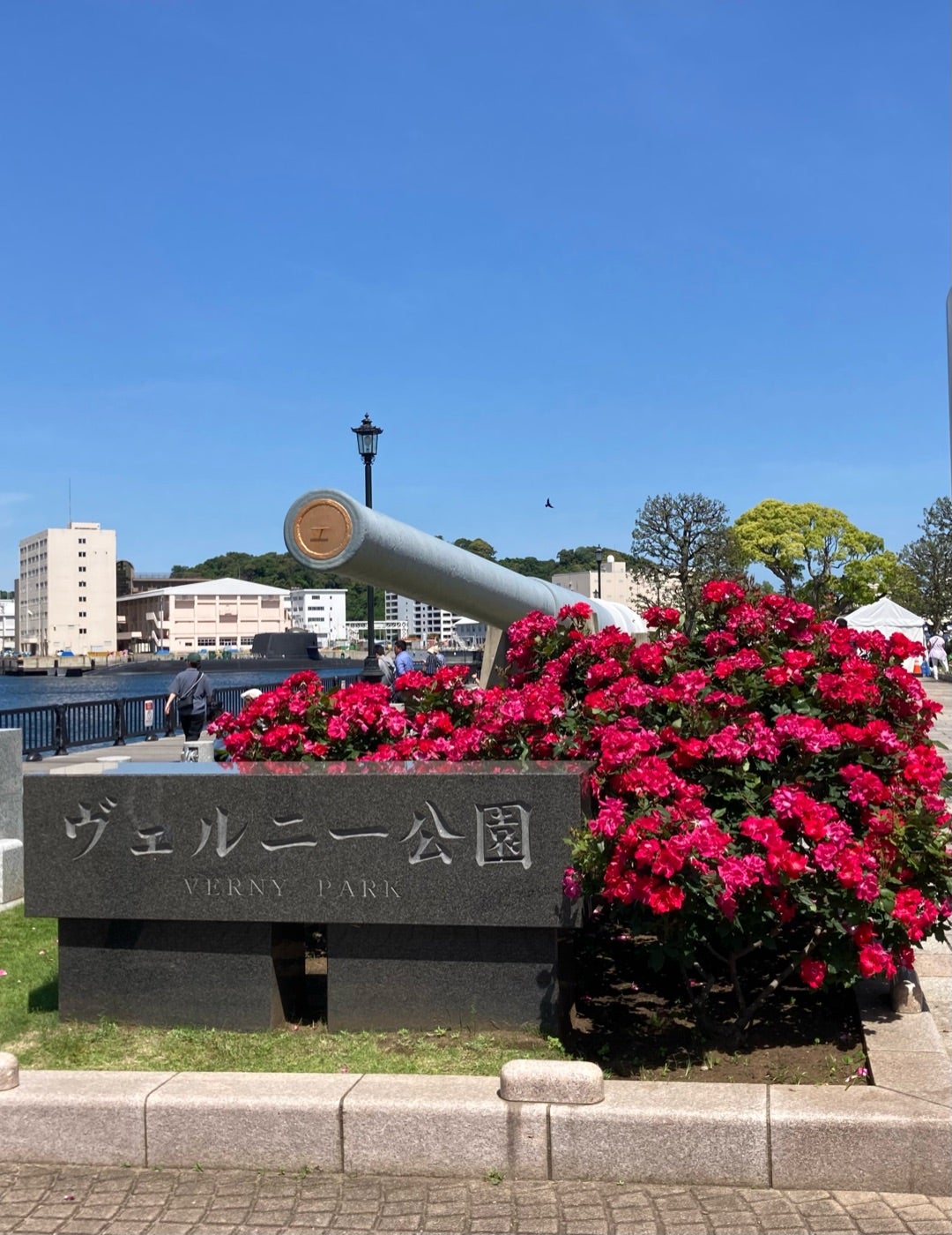 横須賀の秘境！無人島「猿島」完全ガイド行き方フェリーチケットなど。ジブリの世界が10分で広がる神秘の楽園！ - 週末はじめました