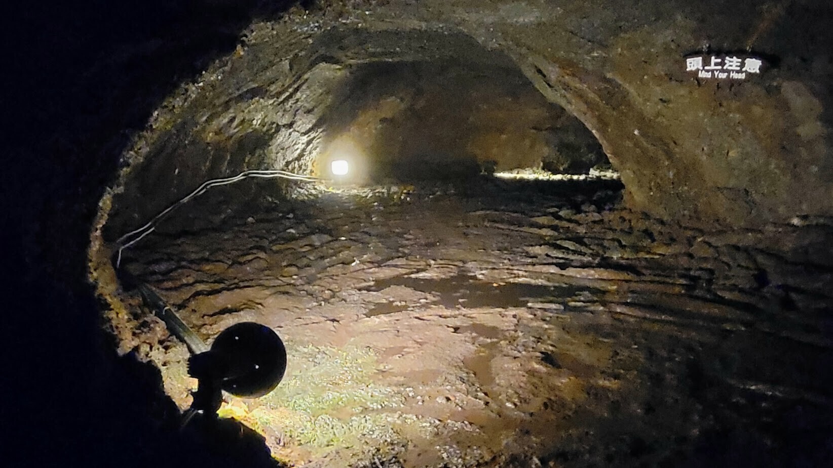 西湖のコウモリ洞