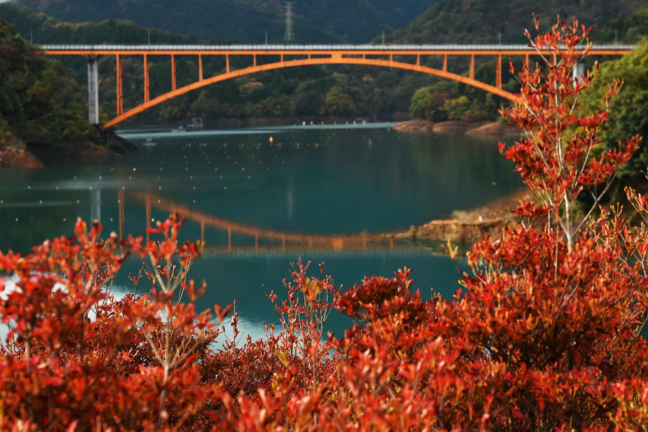 神奈川県庁広報 on X: 