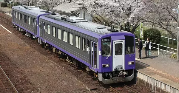 ススキが風にそよぐ 小湊鐵道の情景 今日の一枚・2024年9月24日セレクト鉄道ホビダス